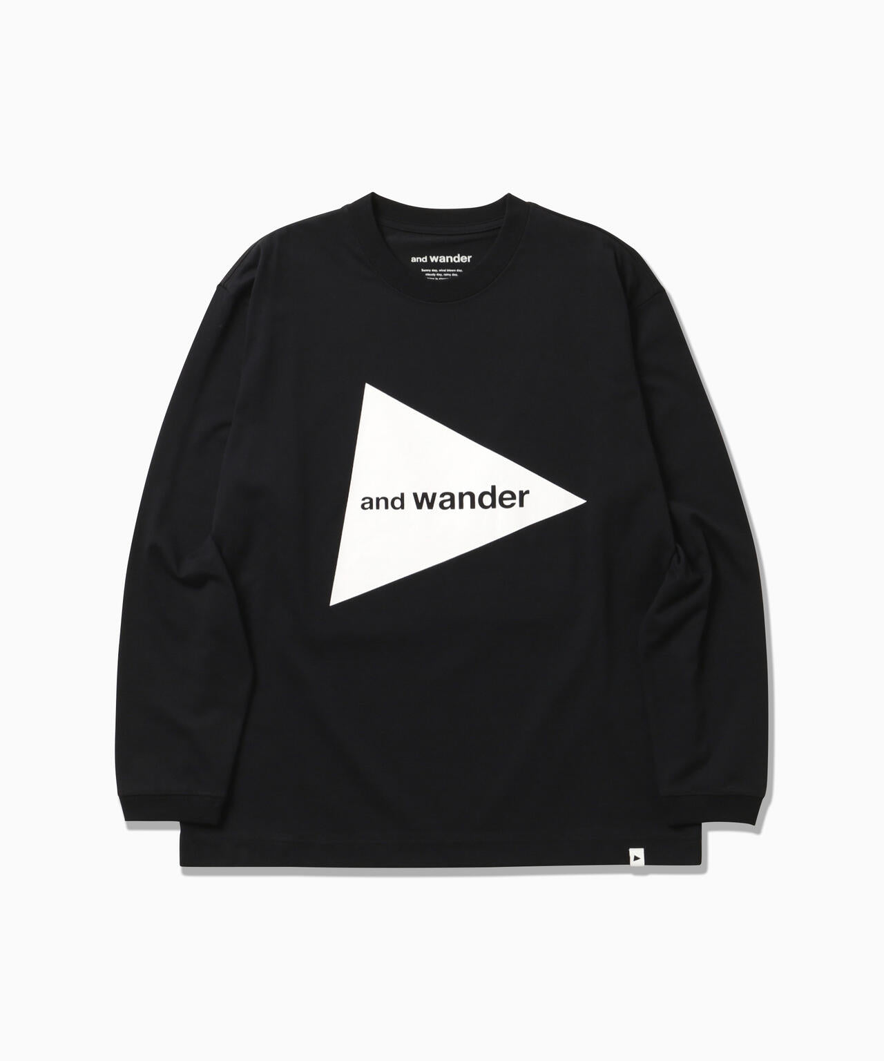 and wander big logo LS T