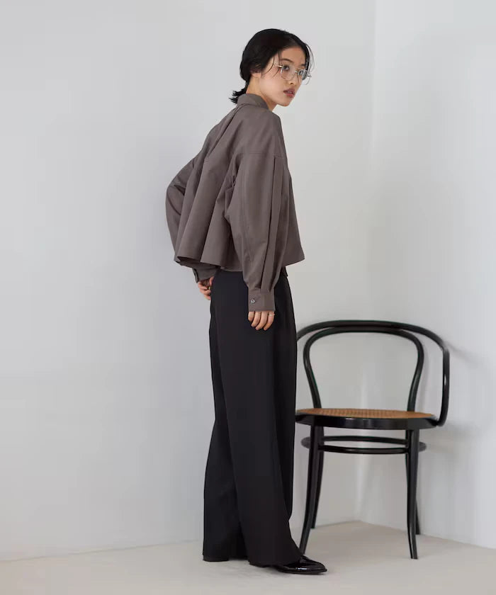 Switch Design Short Blouse