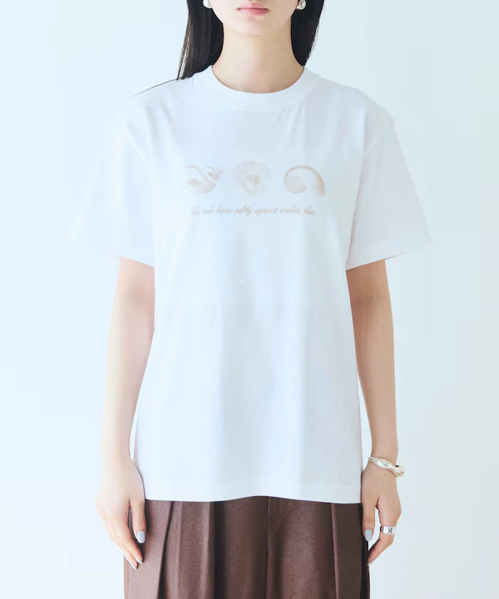Comfortable Shell Print Crew Neck T-Shirt