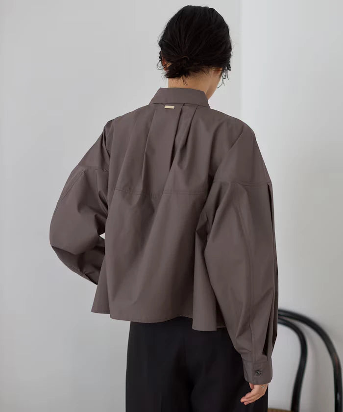 Switch Design Short Blouse