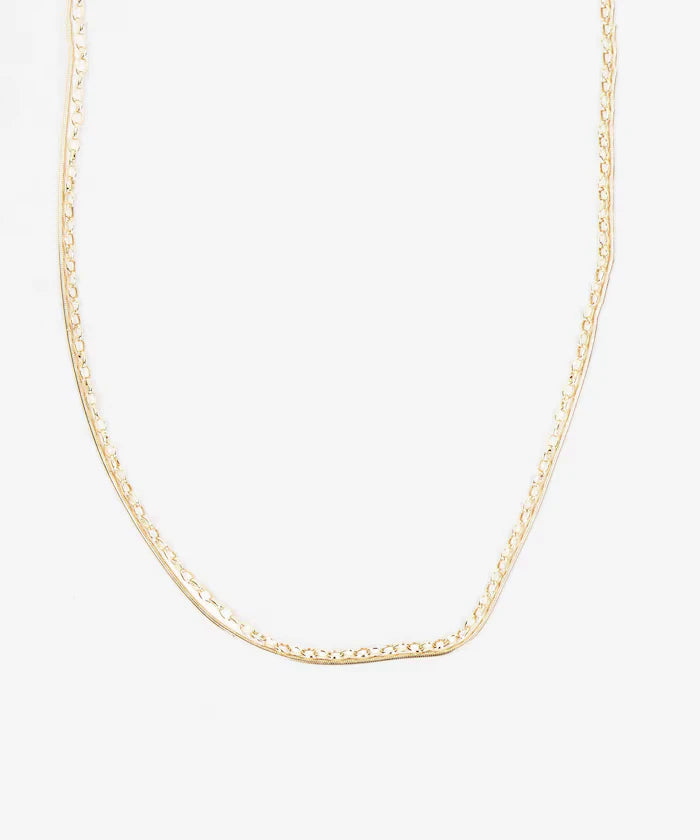 Long Double Chain Necklace