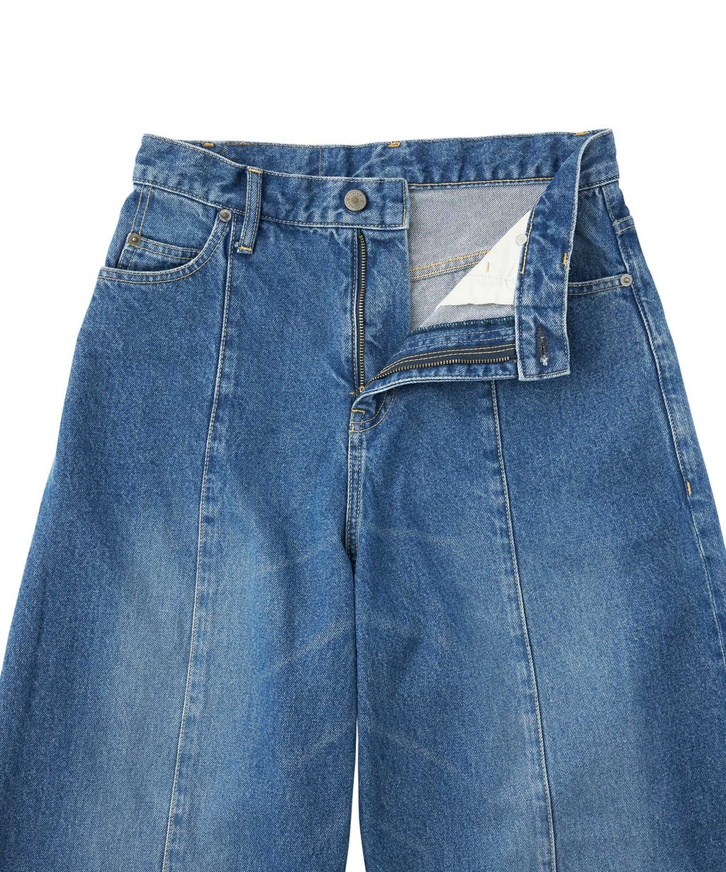 Curve Denim Pants