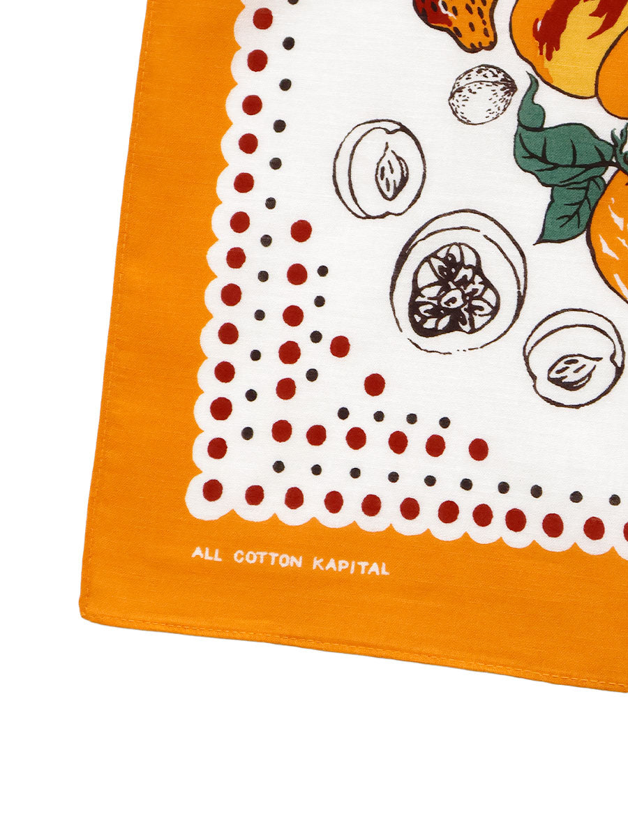 Color Bandana (FRUITS SHUNGA)