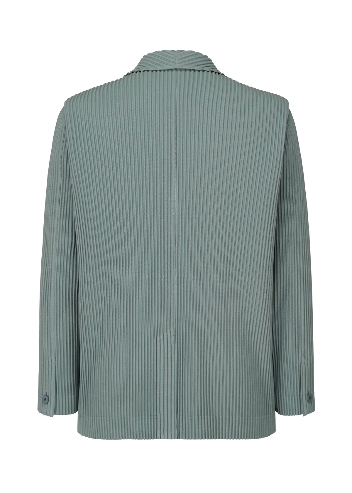 Tailored Pleats 1
