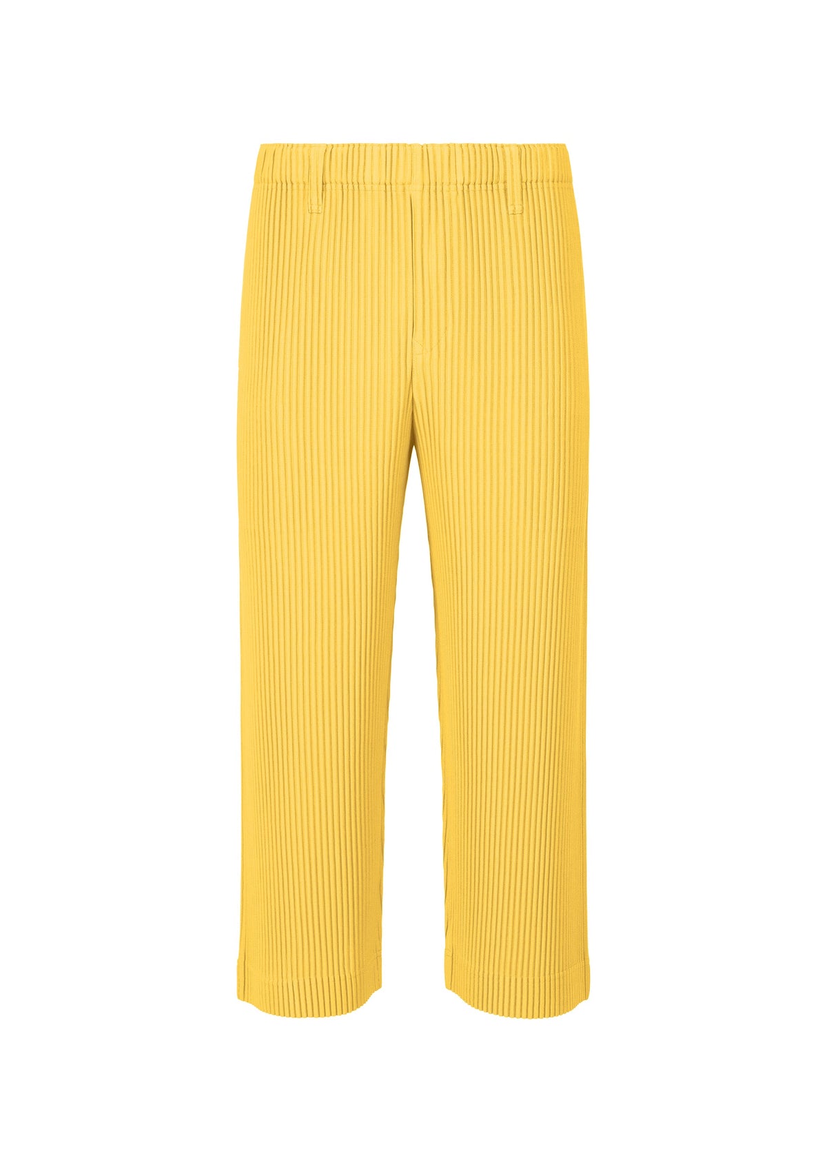 Tailored Pleats 2