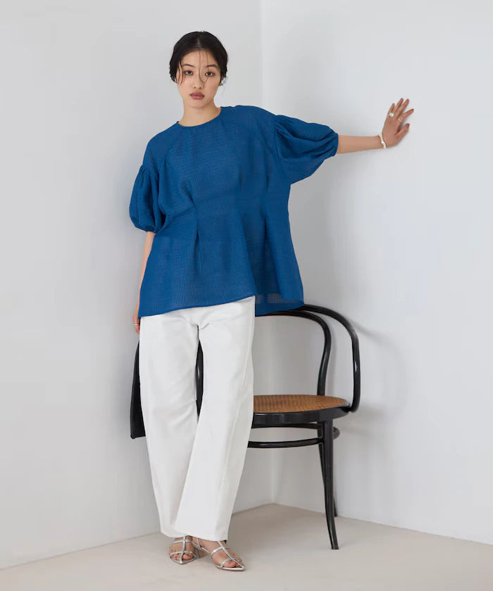 Sheer Check Balloon Sleeve Blouse