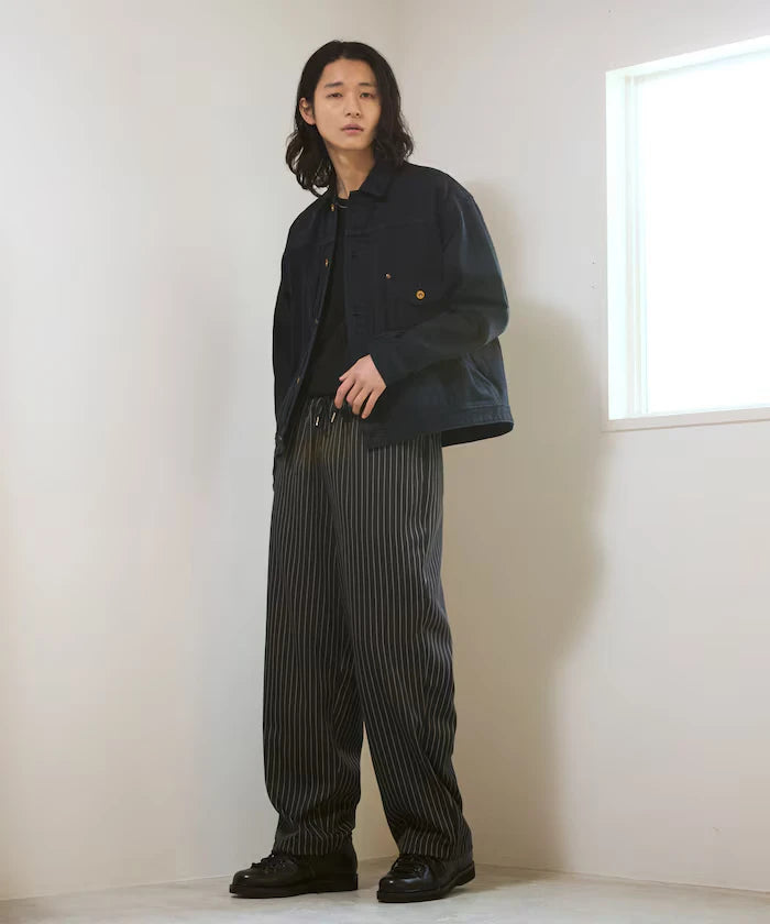 Spindle Stripe Easy Wide Pants / Compatible with Setup