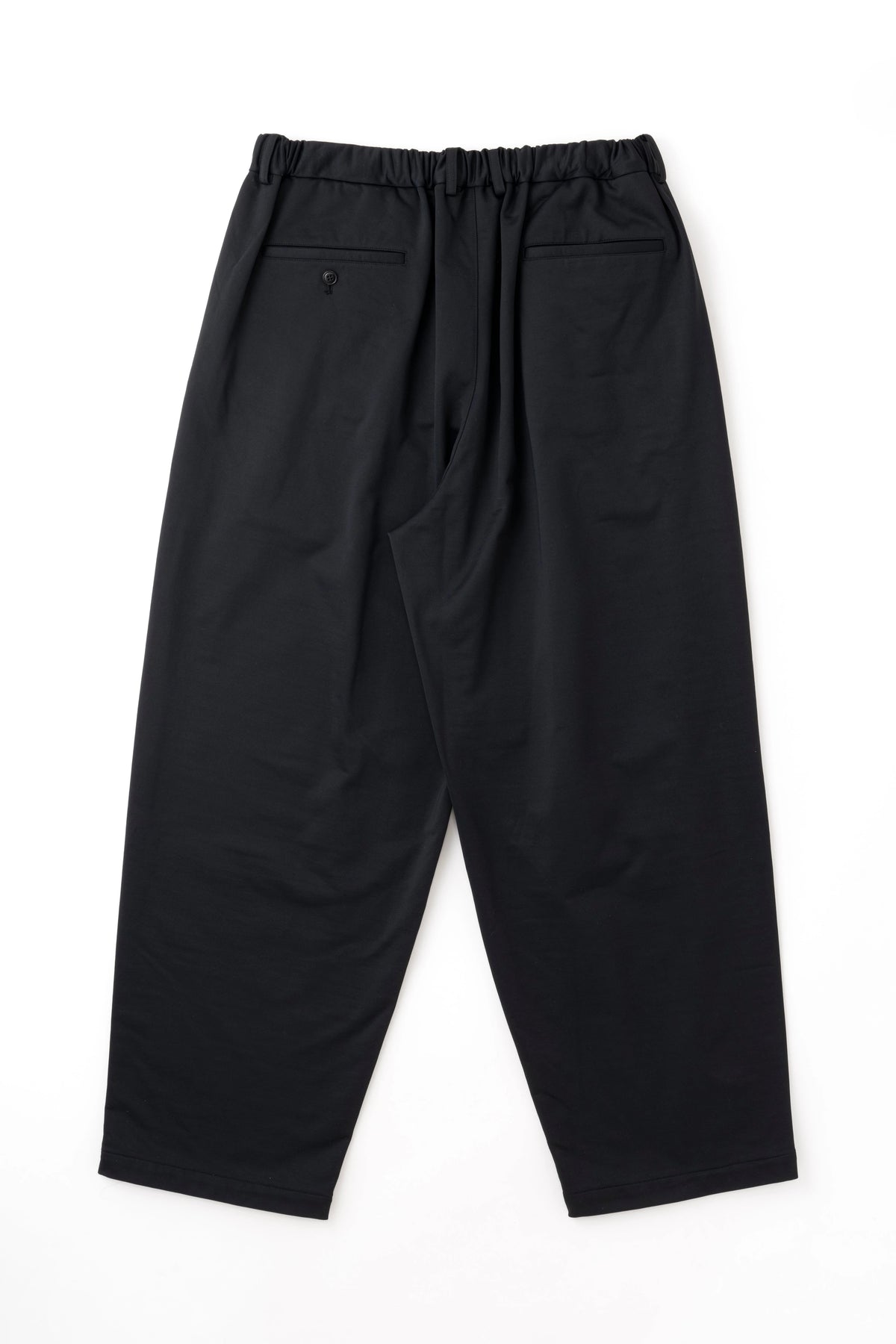 DOUBLE PLEATED WIDE EASY PANTS