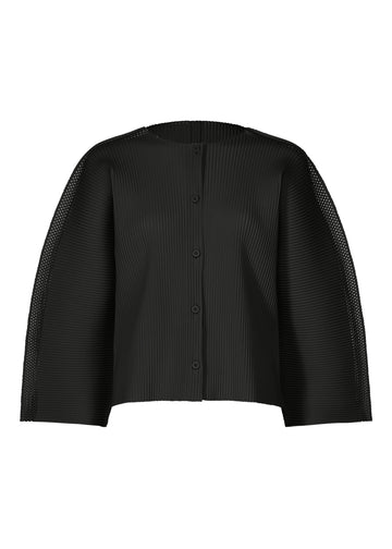 Mesh Pleats