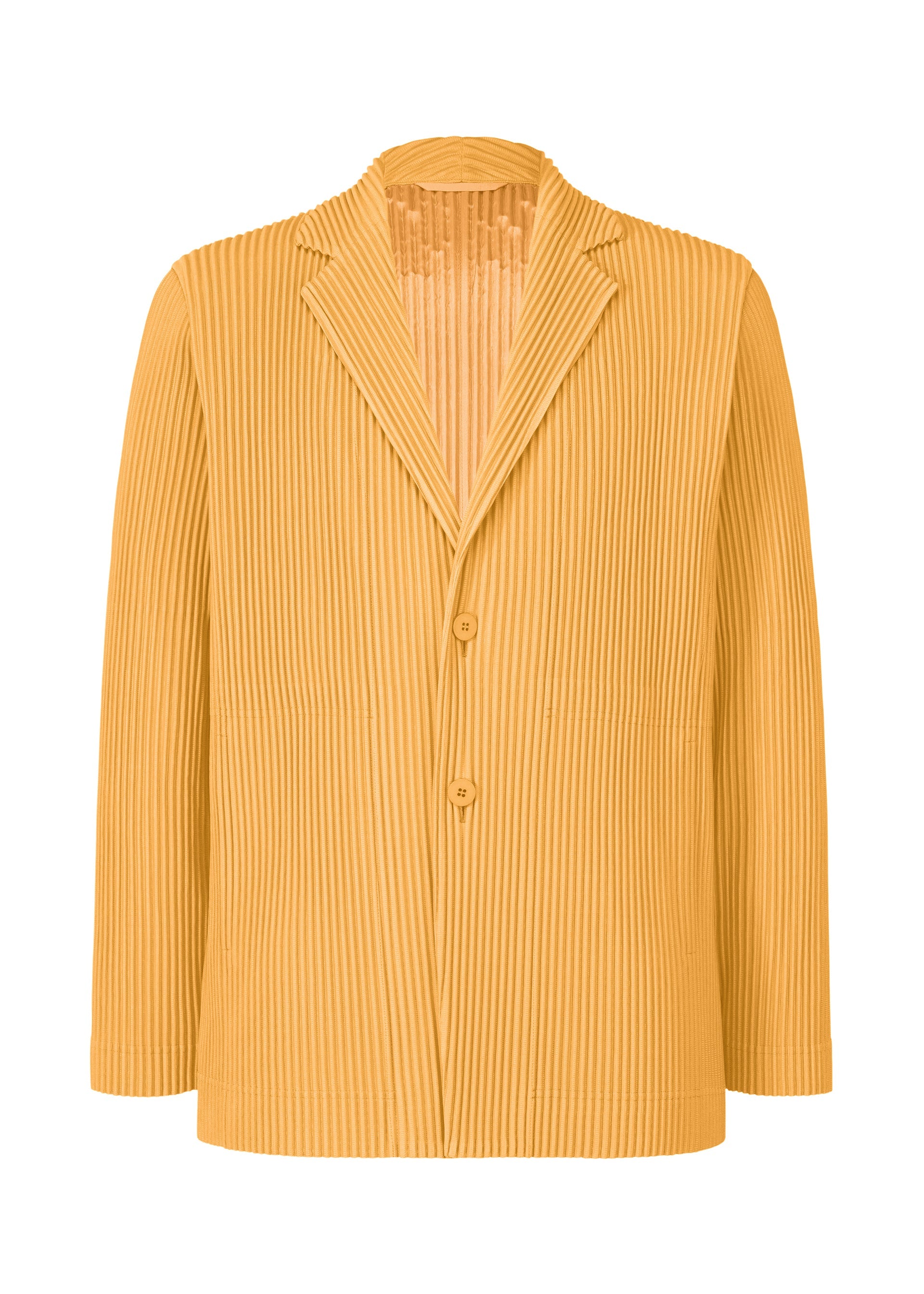 Tailored Pleats 1