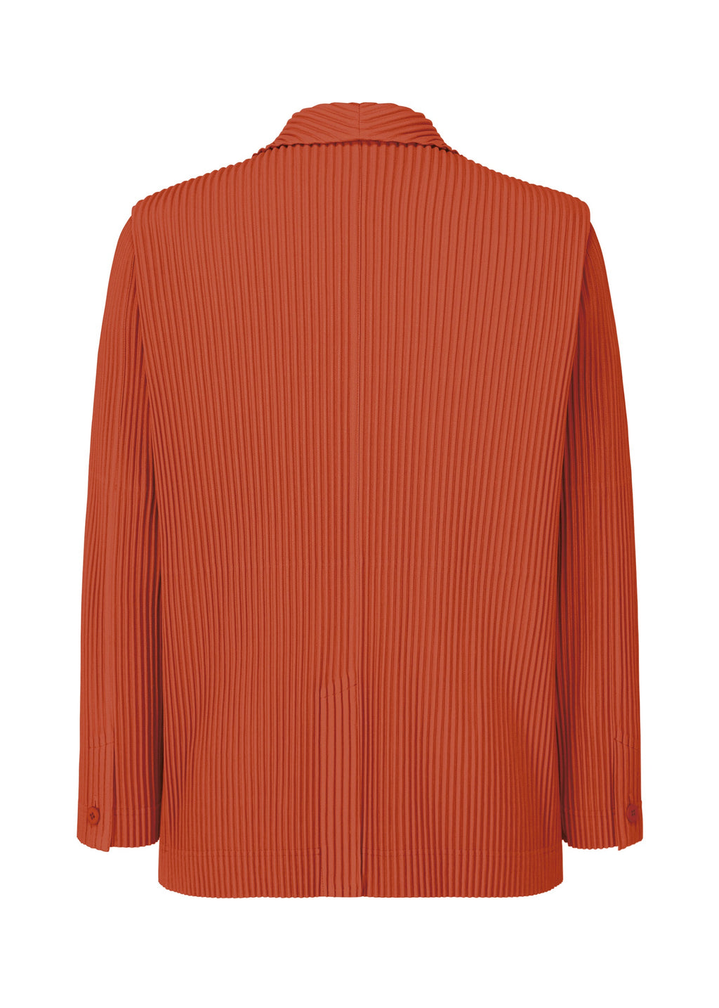 Tailored Pleats 3