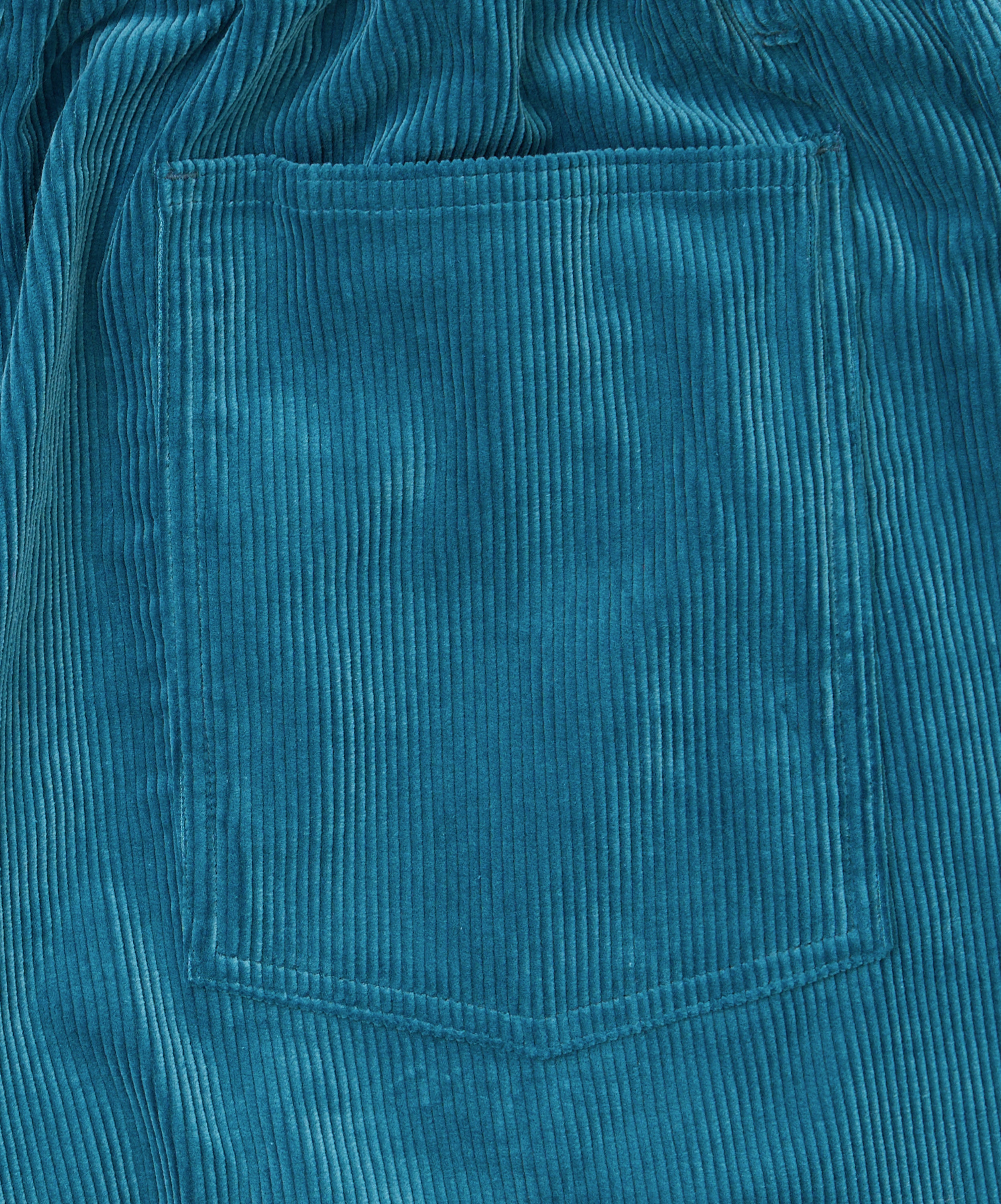circular pants corduroy blue