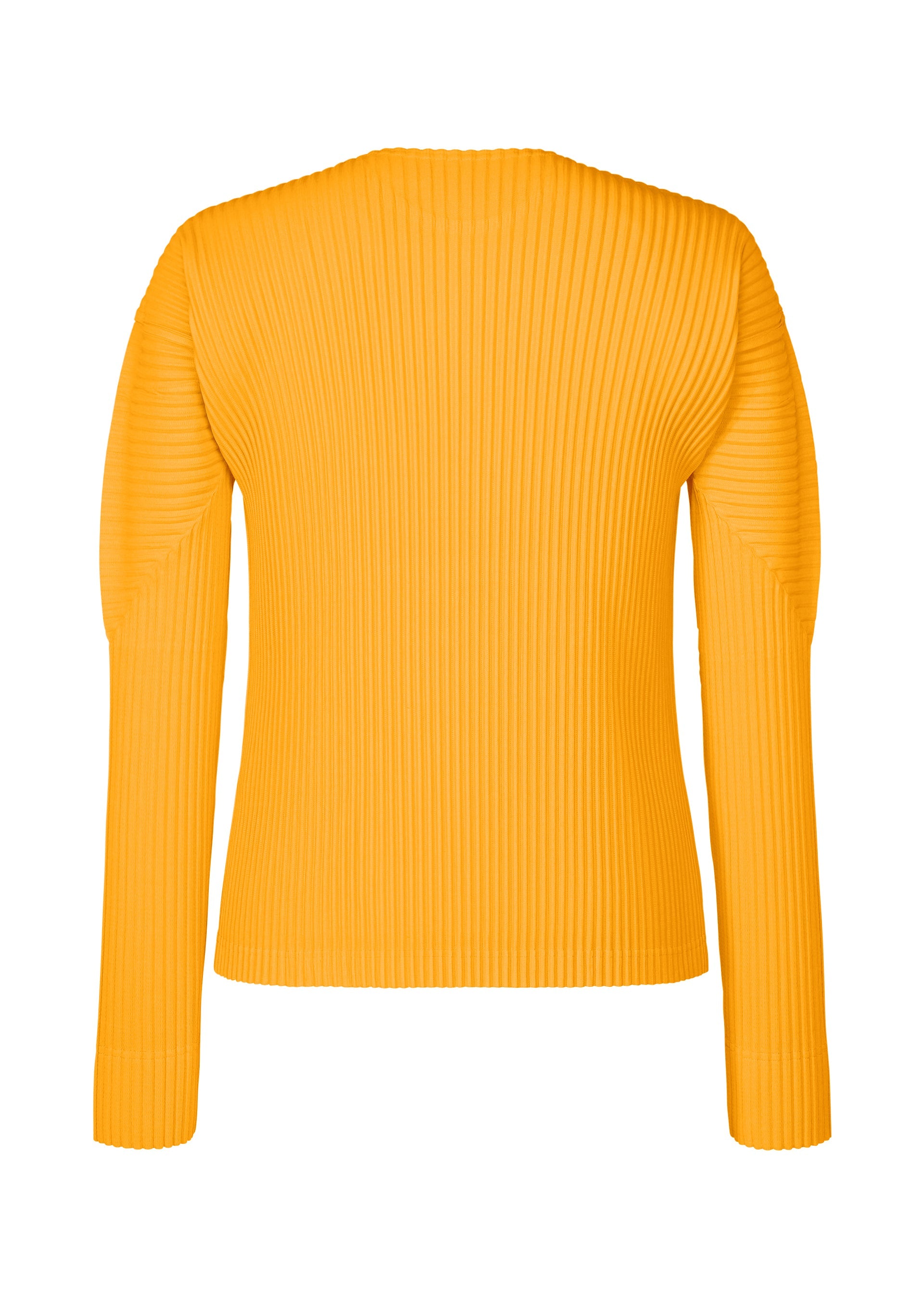 Color Pleats 1