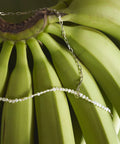 [Release on April 1 at 12:00] SILVER925 Freshwater Pearl Combo Chain Necklace