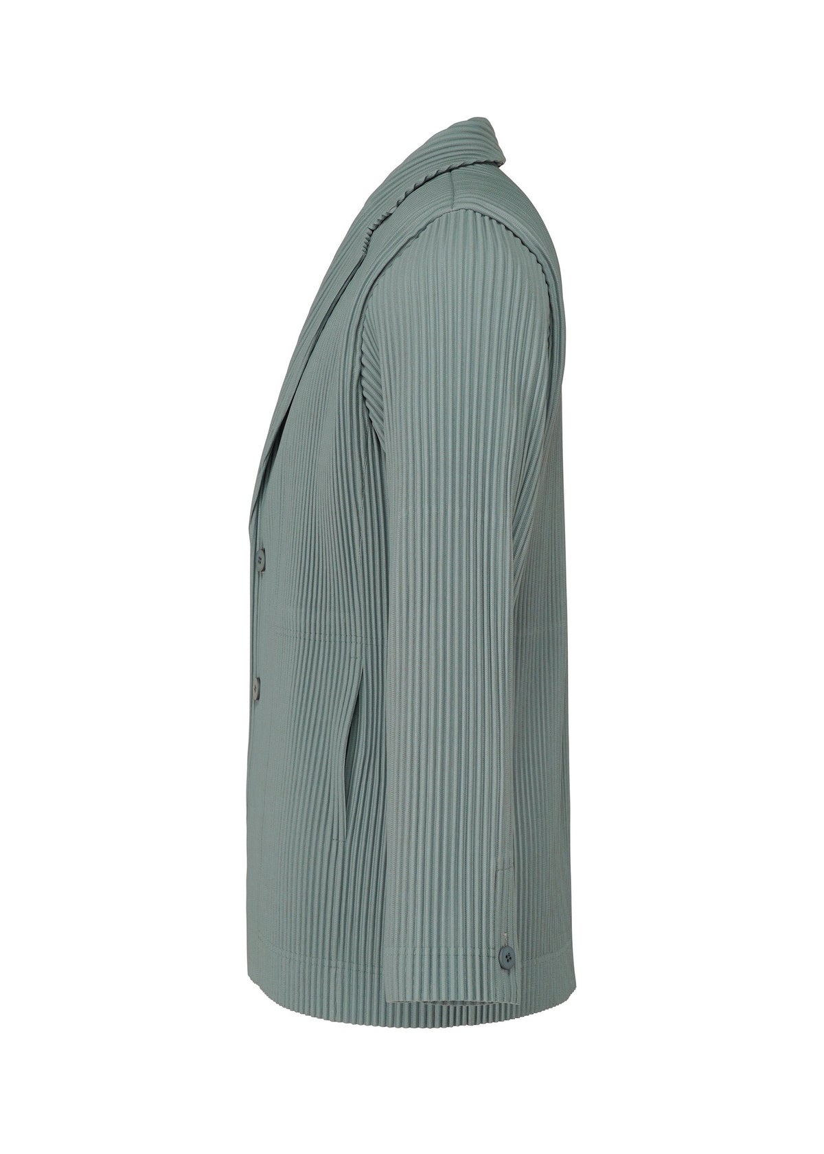 Tailored Pleats 1