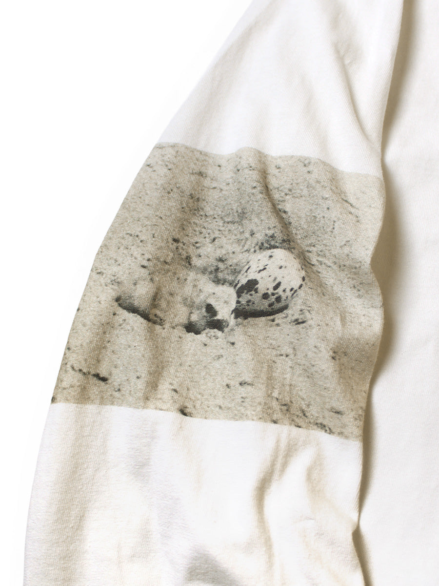 20/-Cotton CrewロンT(GULL FOOTpt)