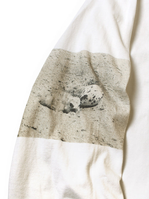 20/-Cotton CrewロンT(GULL FOOTpt)