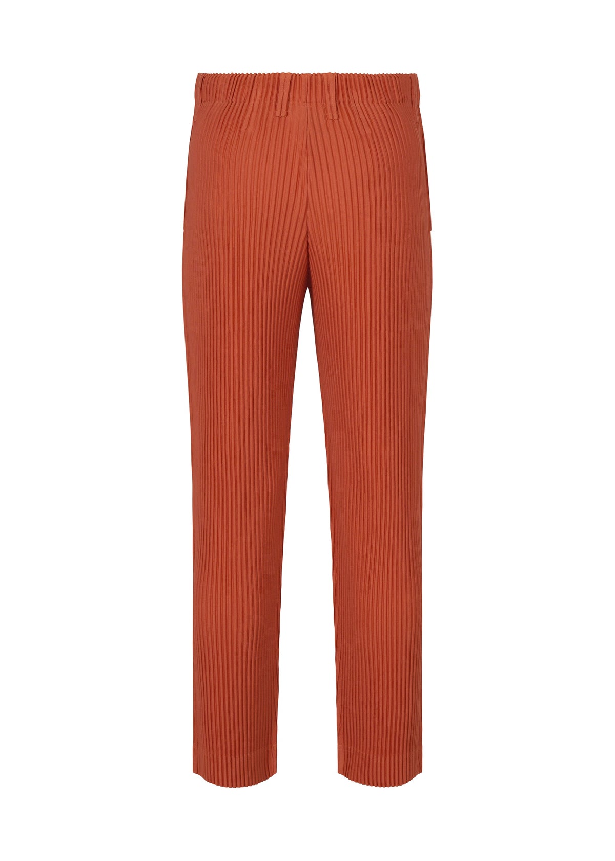 Tailored Pleats 3