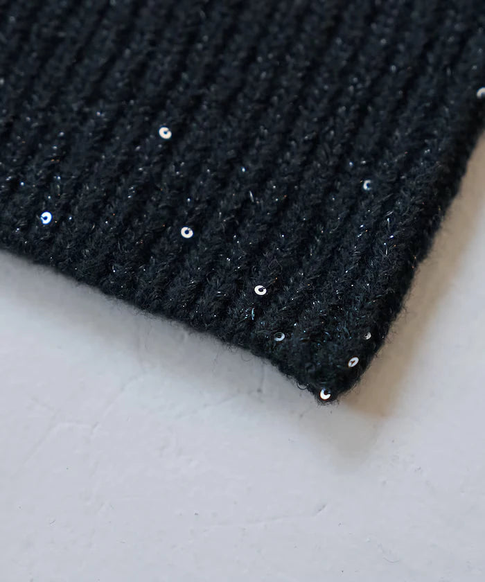 Sequin Beanie