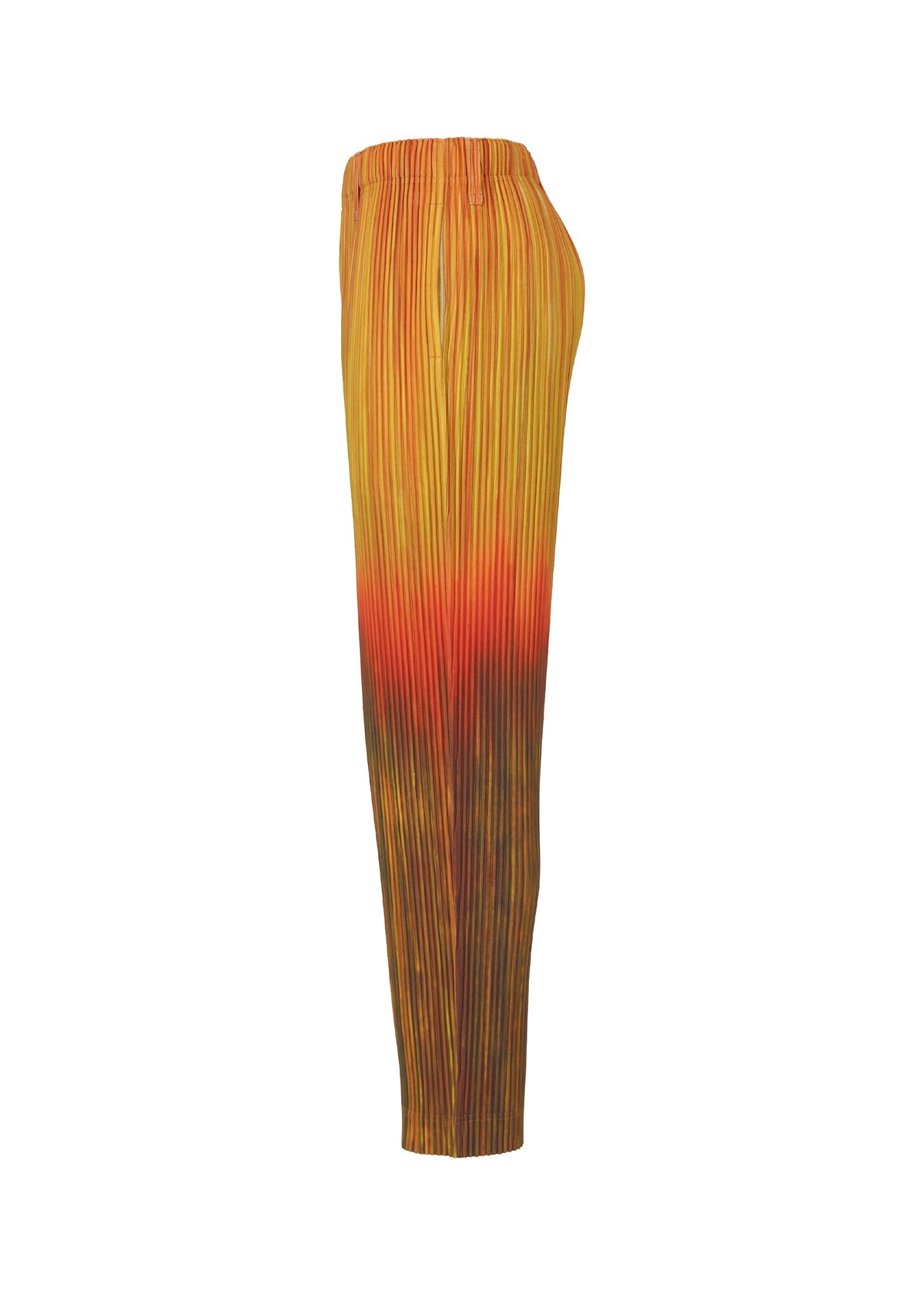 Paint Brush Close-Up