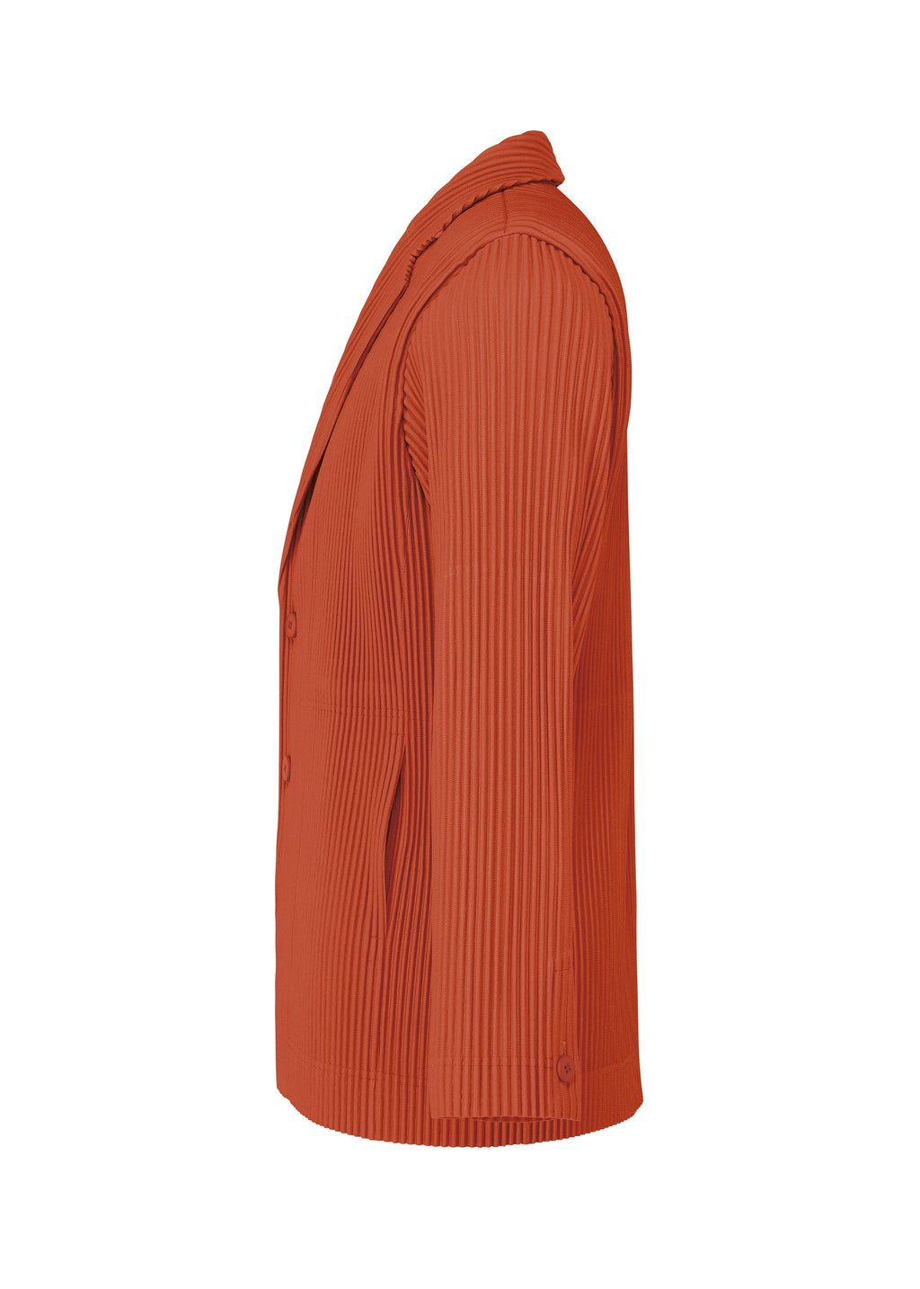 Tailored Pleats 3