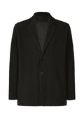 Tailored Pleats 1