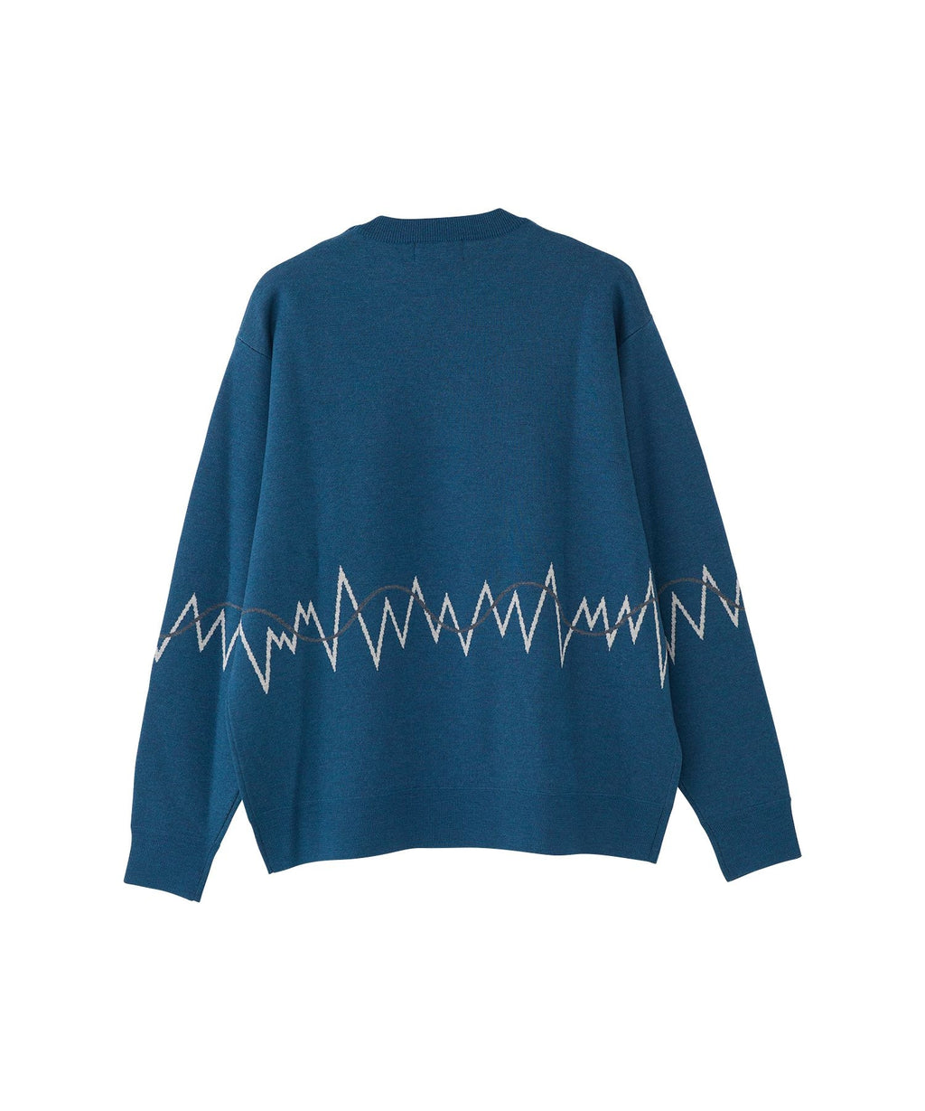 HG NEW WAVE LOGO Embroidered Sweater