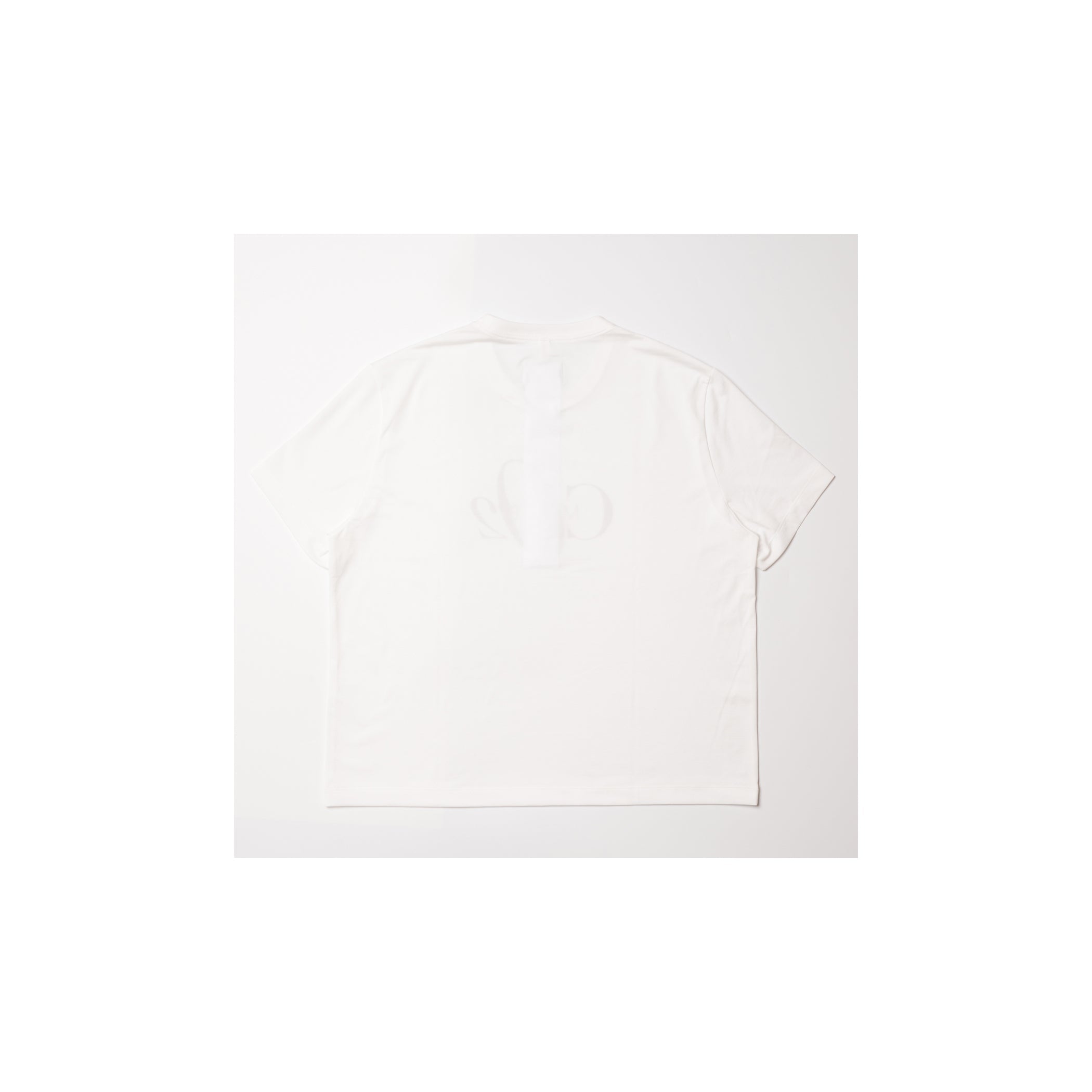 CO2 AIR YARN T-SHIRT：WHITE