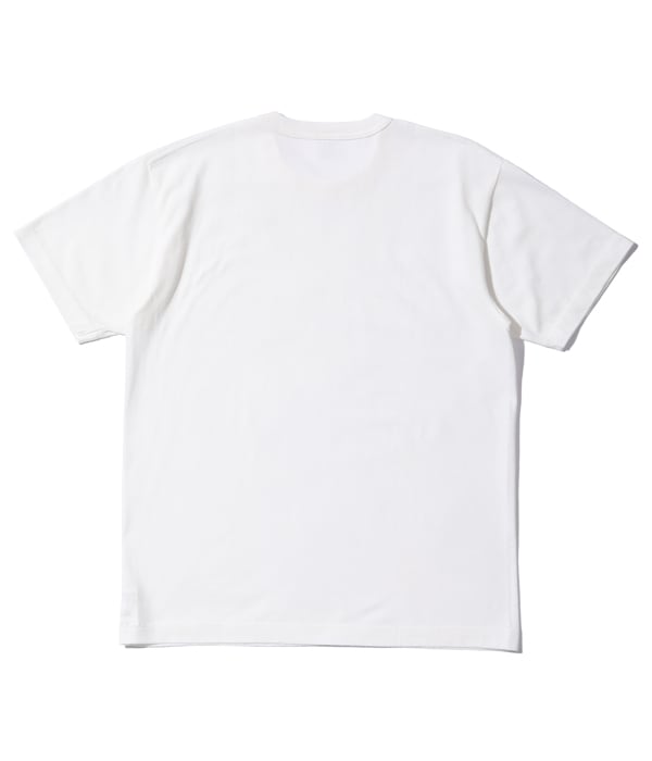 Buzz Rickson's Package T-Shirt Government Issue