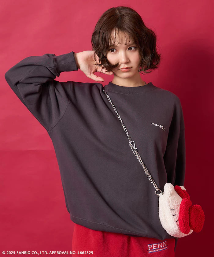 Hello Kitty Fuzzy Pouch Chain Bag