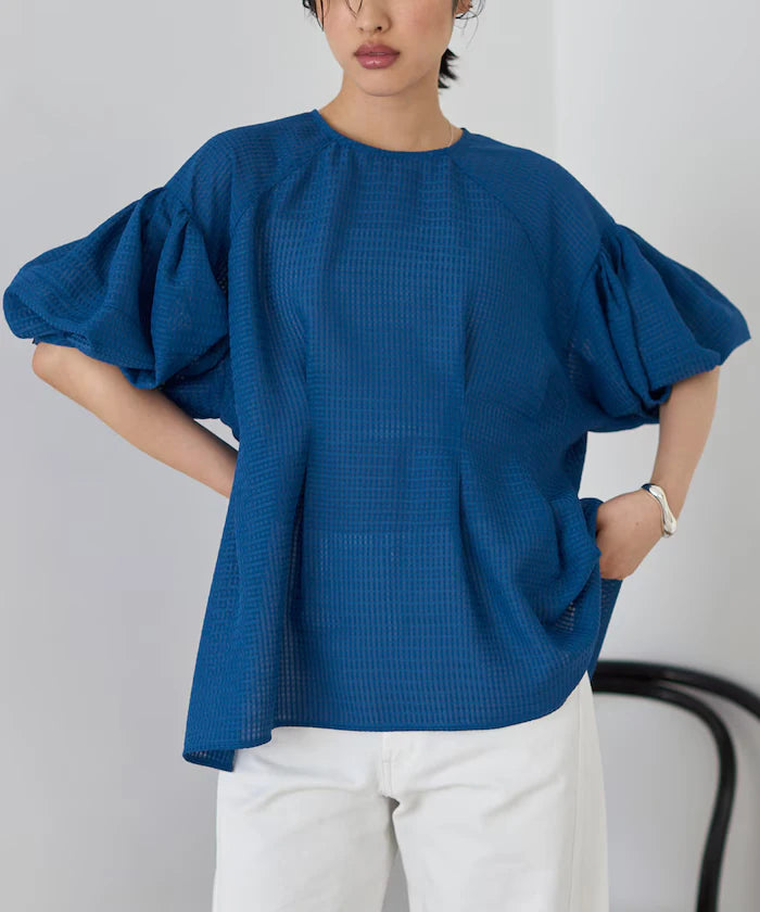 Sheer Check Balloon Sleeve Blouse