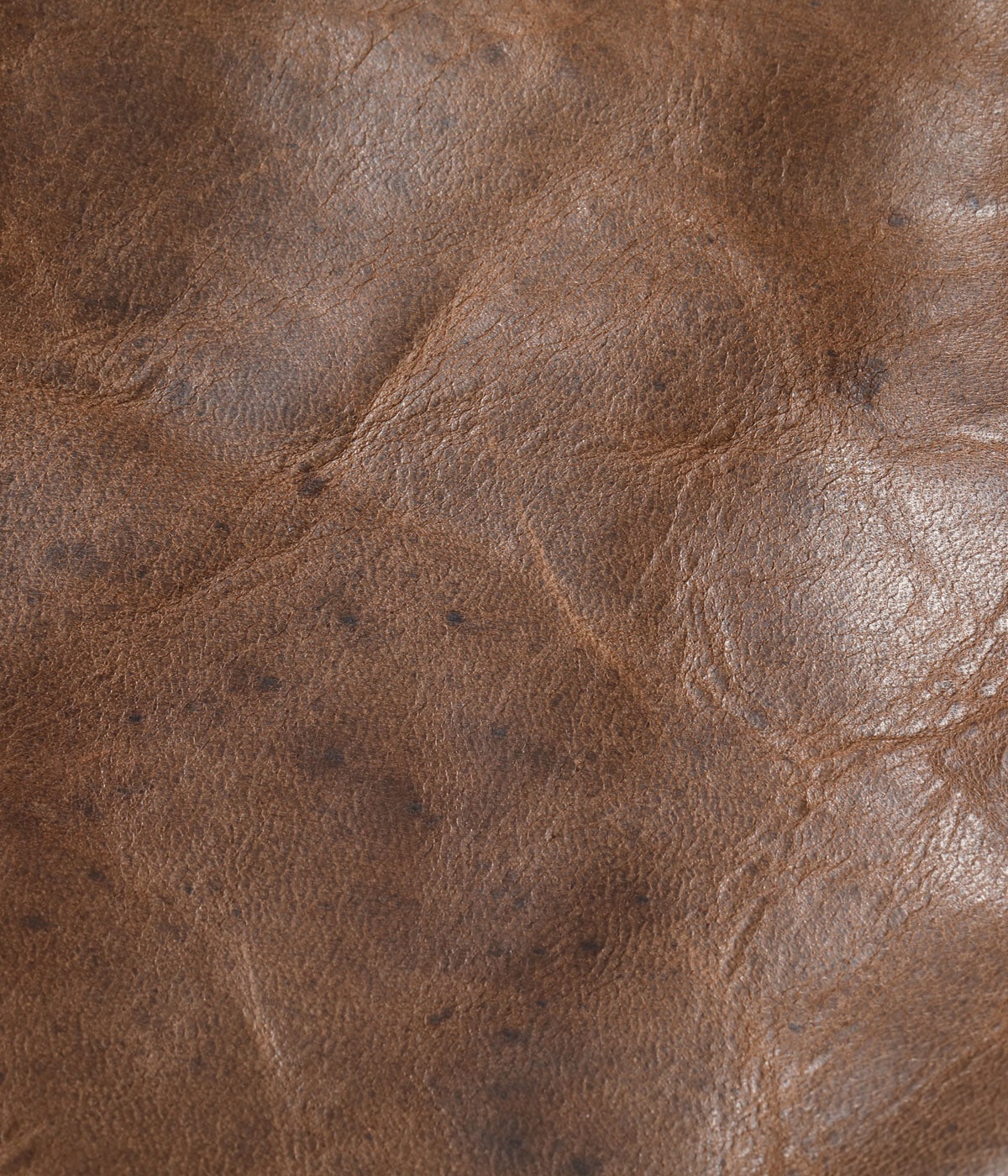 Type B-2 “WERBER LEATHER COAT CO., INC.”