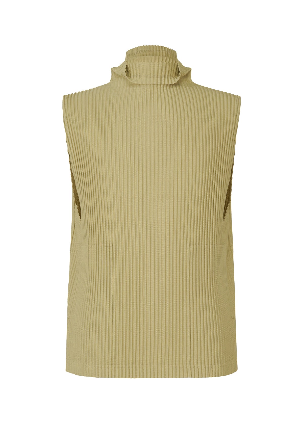 Tailored Pleats 1