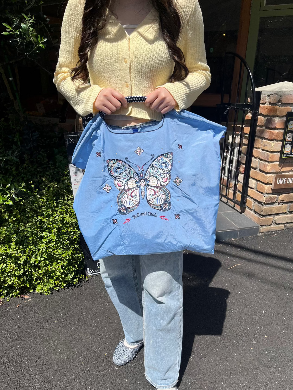 Papillon(Butterfly) L#74 Z/BLUE-301180