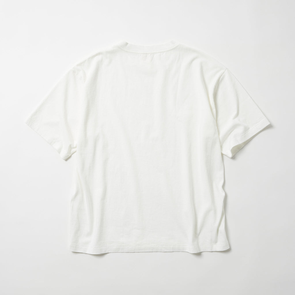GL79661 / 1-PACK T-SHIRT