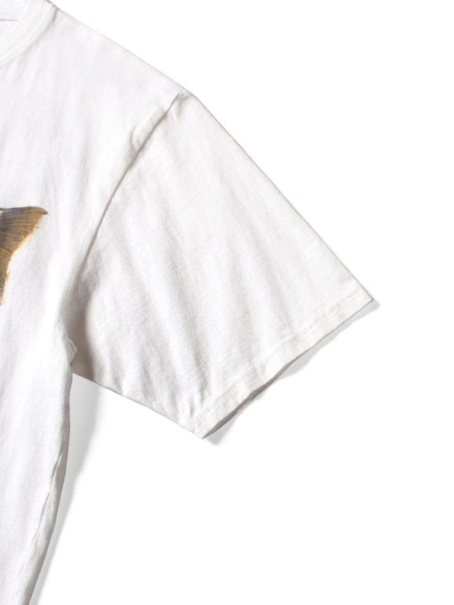 20/-Tencel Crew T (Trout 2 pcs PECKISH RAINBOW Ypt)