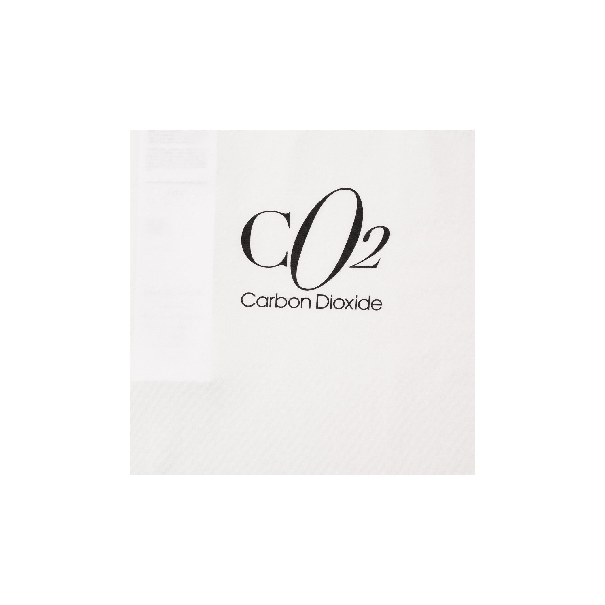 CO2 AIR YARN LONG SLEEVE T-SHIRT：WHITE