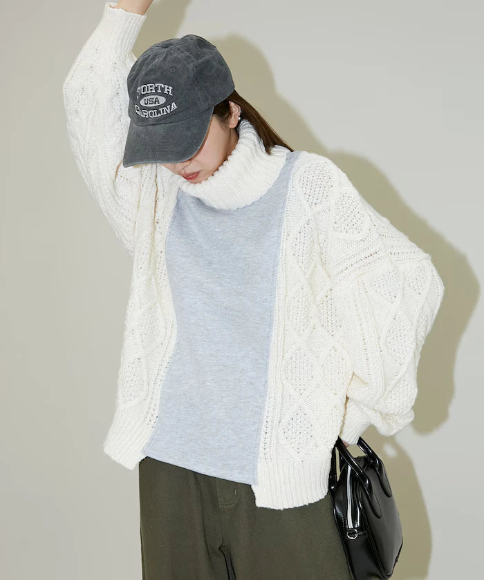 Mixed Material Switch Turtle Neck Knit Limited Edition