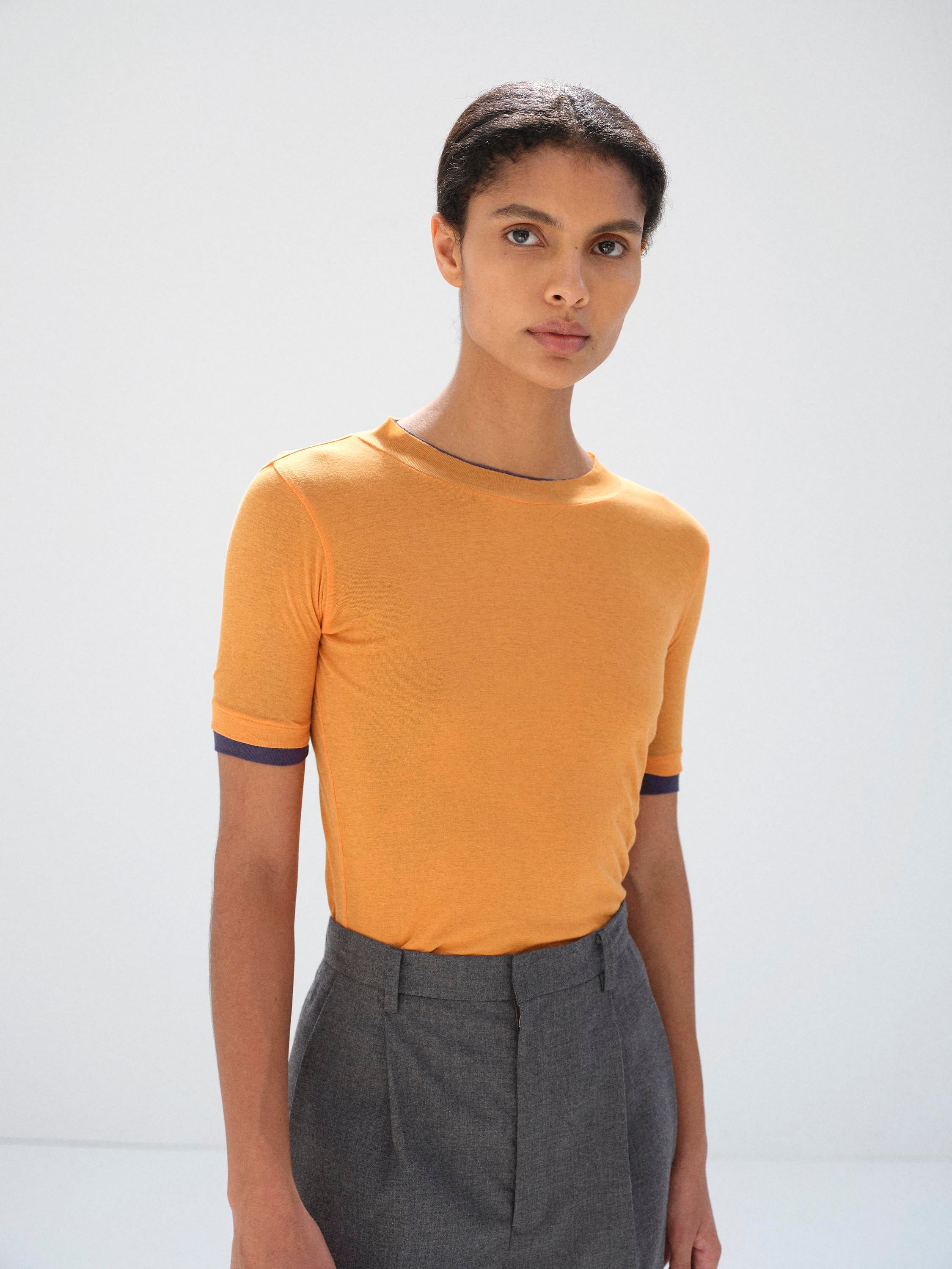 SUPER HIGH GAUGE SHEER RIB TEE